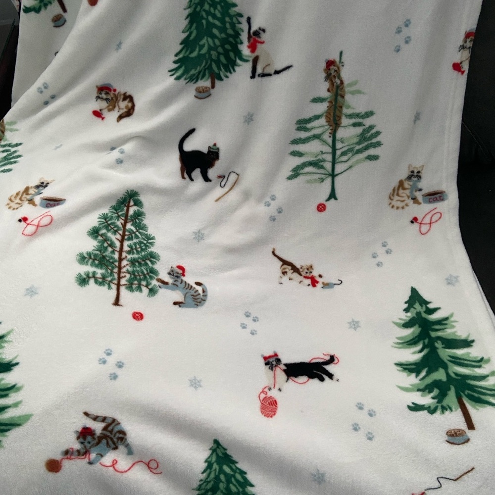 Winter Cats Printed Velvet Plush Polyester Ultra Soft Blanket Full/Queen - Picture 3 of 12